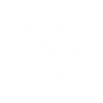 Lastavica